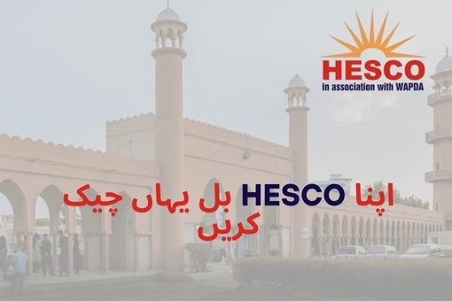 HESCO Online Bill